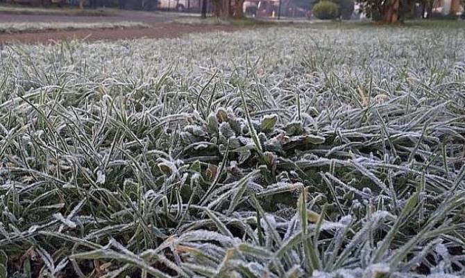 Alerta Temprana Preventiva para la Región de Los Ríos por heladas