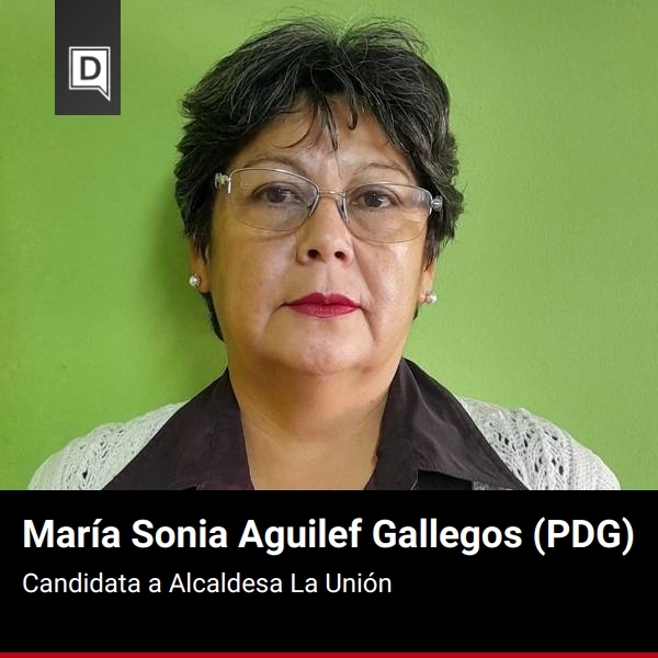 María Sonia Aguilef Gallegos